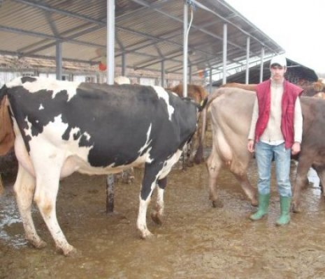 Se înfiinţează Federaţia Tinerilor Fermieri din România